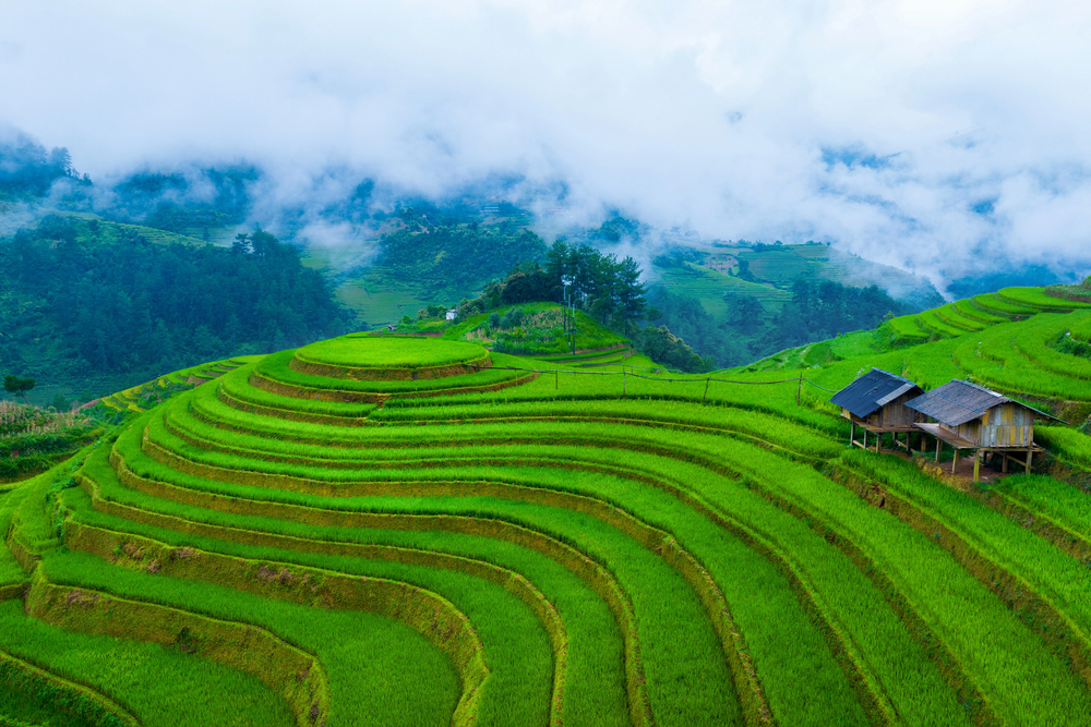 Vietnam 02