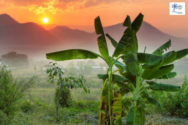 Thailand Reise Natur