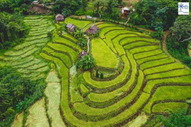 Chiang Mai entdecken(3)